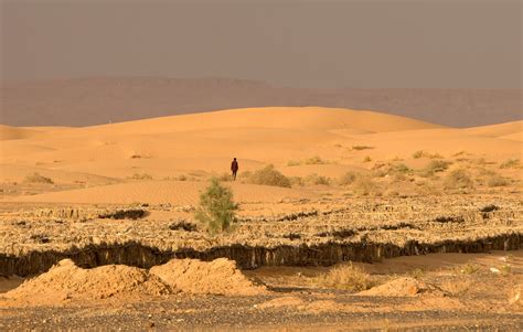 Sahara Desert 6000 Years Ago Lush Saharan Vegetation Was Killed Off By