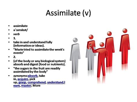 Assimilate Meaning Vocabulary Cards Vocabulary Flash Cards English Vocabulary