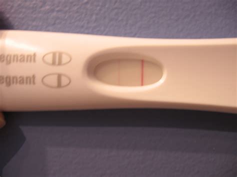 Why Is There A Faint Line On Pregnancy Test New Kids Center
