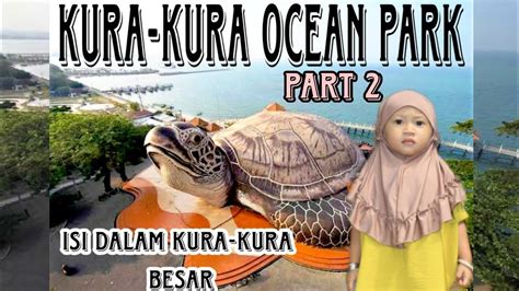 Kura Kura Ocean Park Pantai Kartini Jepara Youtube
