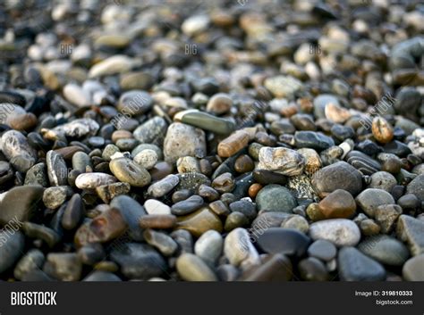 Wet Sea Pebbles Medium Image And Photo Free Trial Bigstock