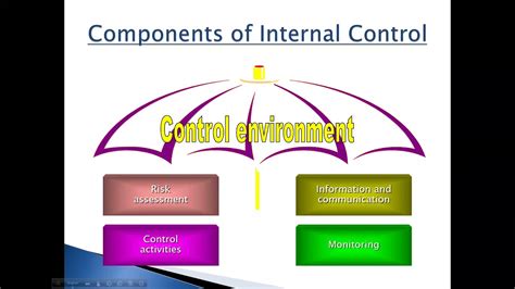 What Are The Components Of Internal Control System Design Talk