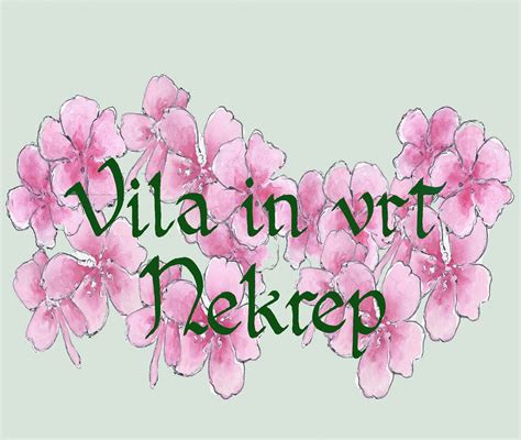 vila in vrt nekrep home