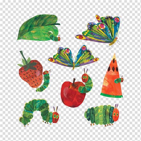 The Very Hungry Caterpillar By Eric Carle Bdaexpress