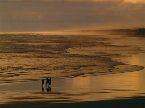 Muriwai Beach At Sunset