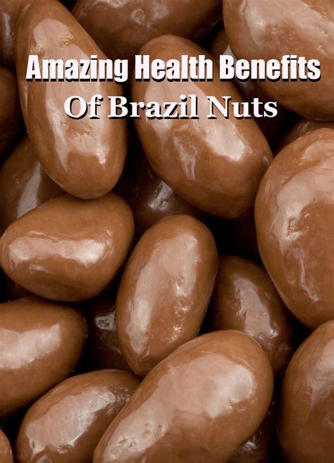 6 Amazing Health Benefits Of Brazil Nuts Search Home Remedy