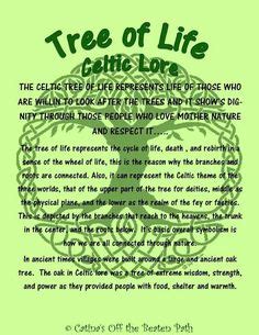 Meaning of the Tree of Life | Tree of life quotes, Tree of life meaning ...