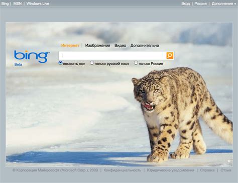 Поисковая система Bing на русском Bing поисковая система от