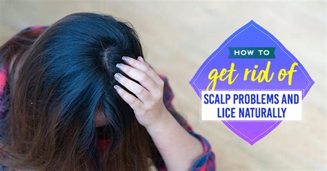 5 Solutions To The 5 Most Common Hair Problems By Jawed Habib