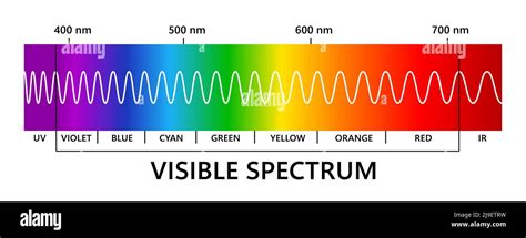 Visible Light Spectrum Infared And Ultraviolet Light Wavelength