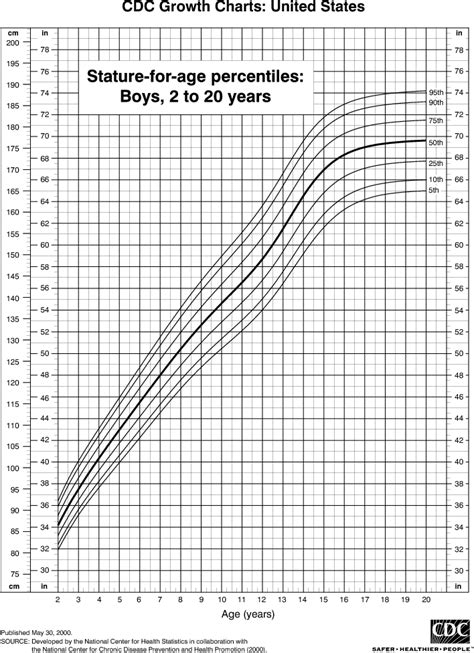Male Height Percentile Chart Andrewjaymi