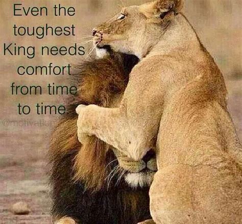 Quotes strength, quotes about lions courage, famous lioness quotes, heart of a lion quotes, strong lion quotes. Pin by Trudi Moller on And I Quote... | Lion quotes, Cute animal quotes, Lioness quotes