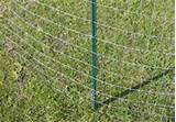 Welded Wire Fence Posts Pictures