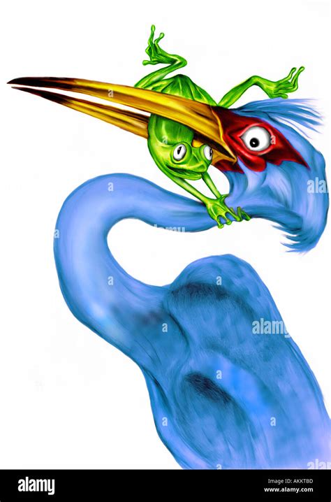 Never Give Up Illustration Of A Bird Eating A Frog Frog Resisting