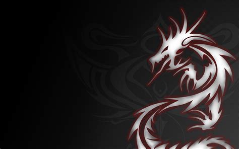 Cool 3d Dragon Wallpapers 55 Images