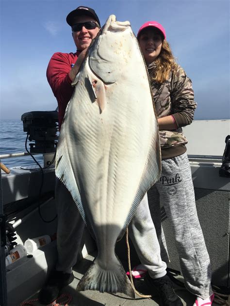 Puget Sound Halibut Opening May 20 With Every Other Day Fishing