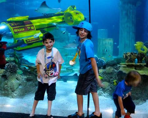 Get In Free To Sea Life Aquarium At Legoland Popsicle Blog