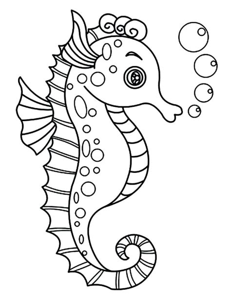 Seahorse Outline Coloring Page Dolphins And Seahorses Colouring Pages