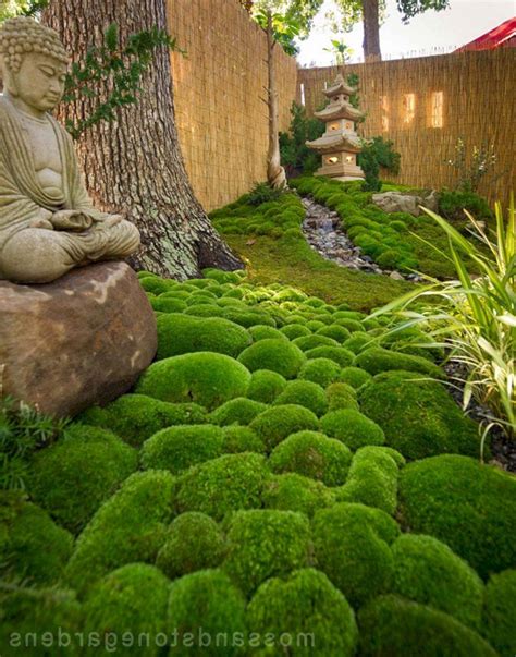 22 Japanese Moss Garden Design Ideas To Consider Sharonsable