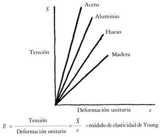 Chocolatita Estos Son Algunos Ejemplos Del Modulo De Elasticidad