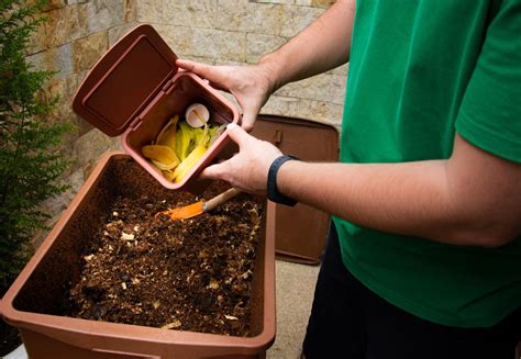 ¿cómo Aprovechar La Basura Orgánica ¡aprende A Crear Tu Propio Compost