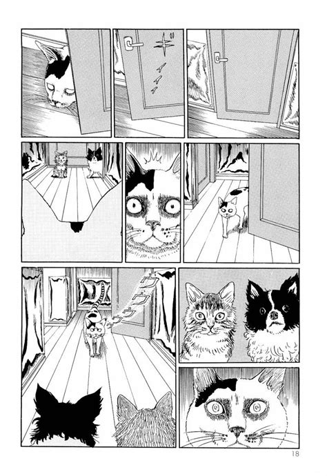 Junji Itos Cat Diary Bite Cat Meme Stock Pictures And Photos