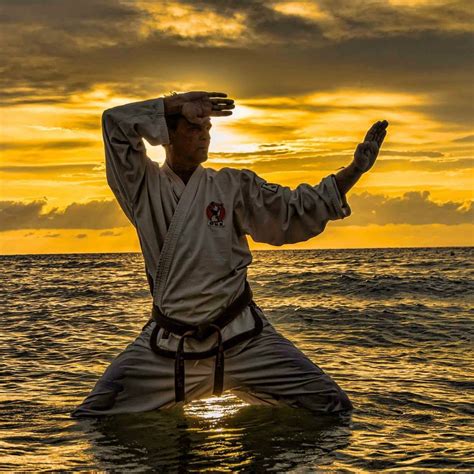 Traditional Taekwondo Center Of South Tampa Recreation Hyde Park