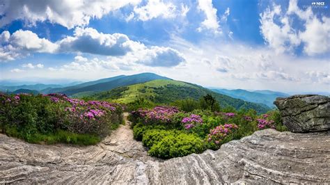 Tennessee State Roan Mountain Rocks Appalachian Mountains