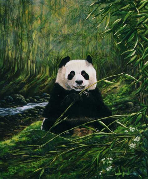Panda Bear Painting At Explore Collection Of Panda