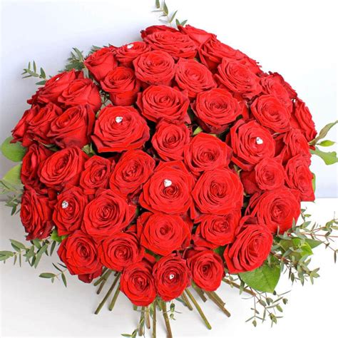 Fifty Stunning Red Roses 50 Kim E Fleurs