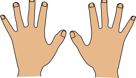 Transparent Hand Hygiene Clipart Left And Right Hand Clipart Png