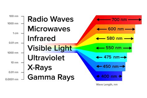 Electromagnetic Spectrum Information Gamma Rays Scheme Vector By