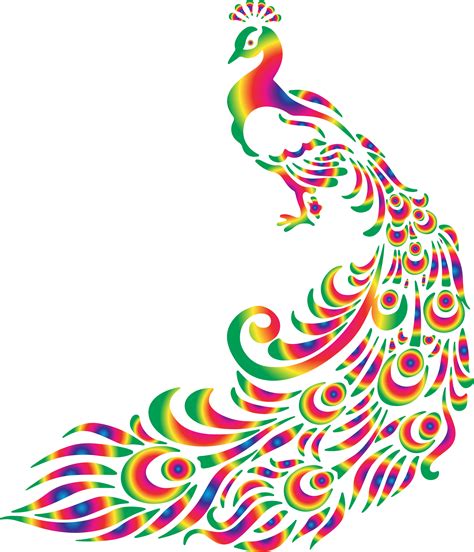 peacock clip art images illustrations photos