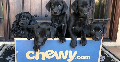 Each recipe includes its aafco nutrient profile when available… growth (puppy), maintenance (adult), all life stages, supplemental or unspecified. Buy One, Get One FREE True Acre Dog Food & Treats at Chewy.com