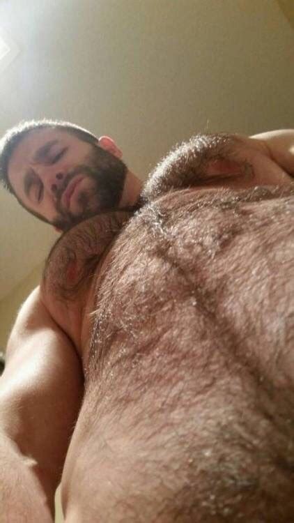 photo offensively hairy muscly men page 64 lpsg