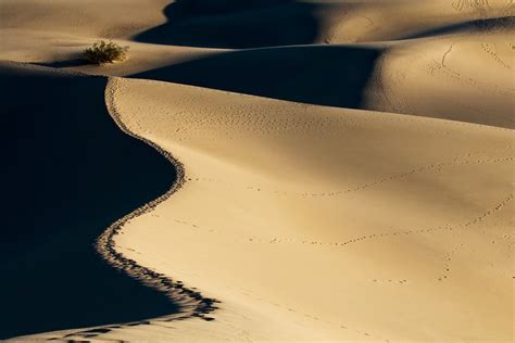 Patterns In The Sand Dunes Smithsonian Photo Contest Smithsonian