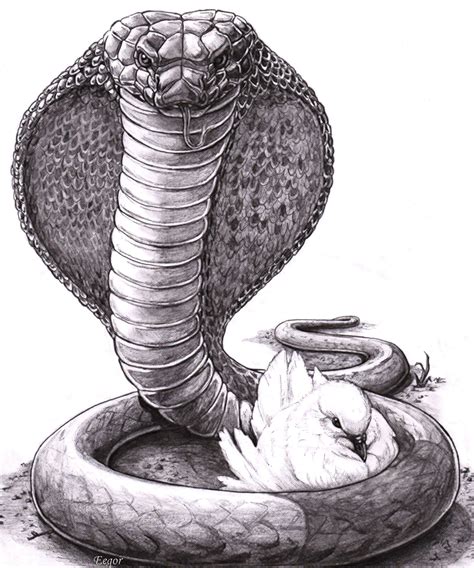 Be As Snakes And Doves Cobra Tattoo Snake Drawing Snake Art