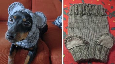 There's no feeding, barking, shedding, or vet's bills knit your own dog is the irresistible guide to knitting the perfect pup. Knitted Dog Hats with Ears Easy Free Patterns