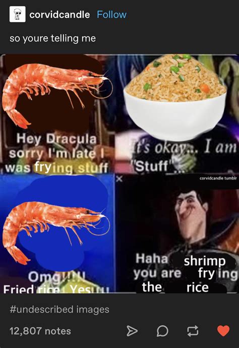 The Shrimp Did Fry This Rice Rcuratedtumblr