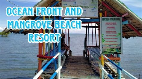 Beautiful Ocean Front And Mangrove Beach Resort Manapla Negros