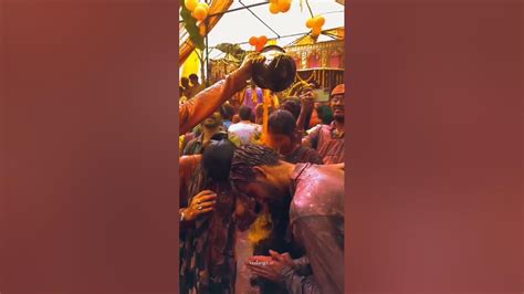 Banaras Holi Status Video2023 💫holi 2023 Status Videoholi