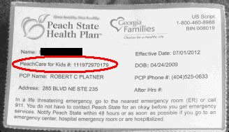 In georgia, peachcare for kids® began covering children in 1998 and provides comprehensive coverage to uninsured children. Commonly Encountered UNACCEPTABLE Subsidy and ID Proofs - ComplianceWiki