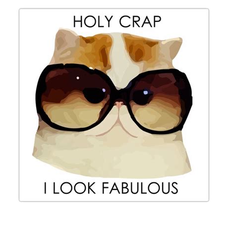 I Look Fabulous Cat Decal Sticker By Islandtimedesign On Etsy