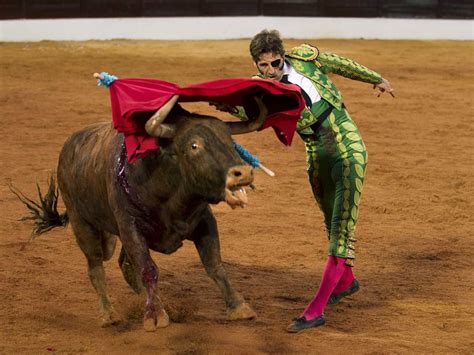 Bullfighter Completes Comeback After Goring Cbs News