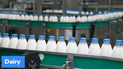 Dahd Launches Dairy Investment Accelerator Gktoday