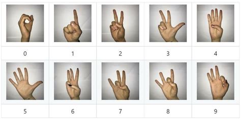 Hand Signals And The Decoded Numbers Source Dataset 20 Download