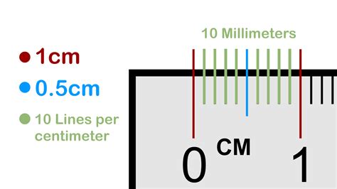 How To Read A Ruler In Cm How To Read A Ruler In Inches And