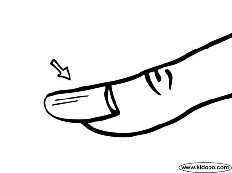 Long Finger Clipart 20 Free Cliparts Download Images On Clipground 2023