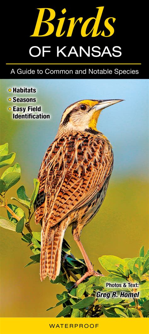 Birds Of Kansas Quick Reference Publishing