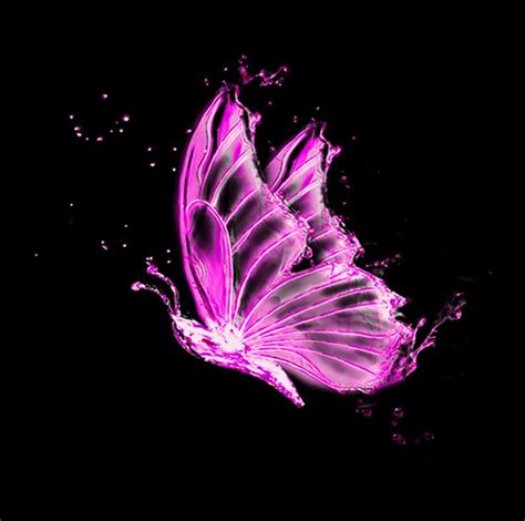 Pink Glow Butterfly Png Light Background Images Background Wallpaper
